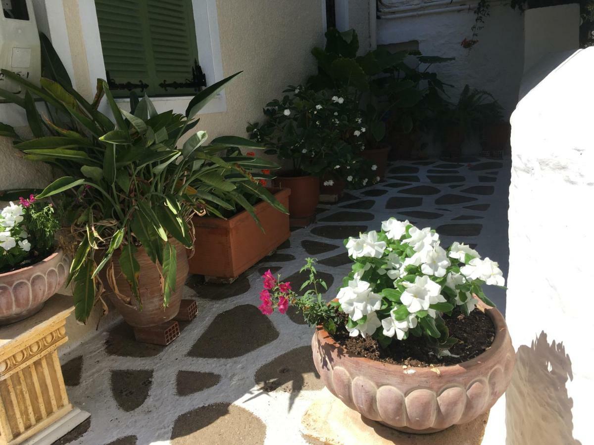 Toula's House 2 Ligoneri